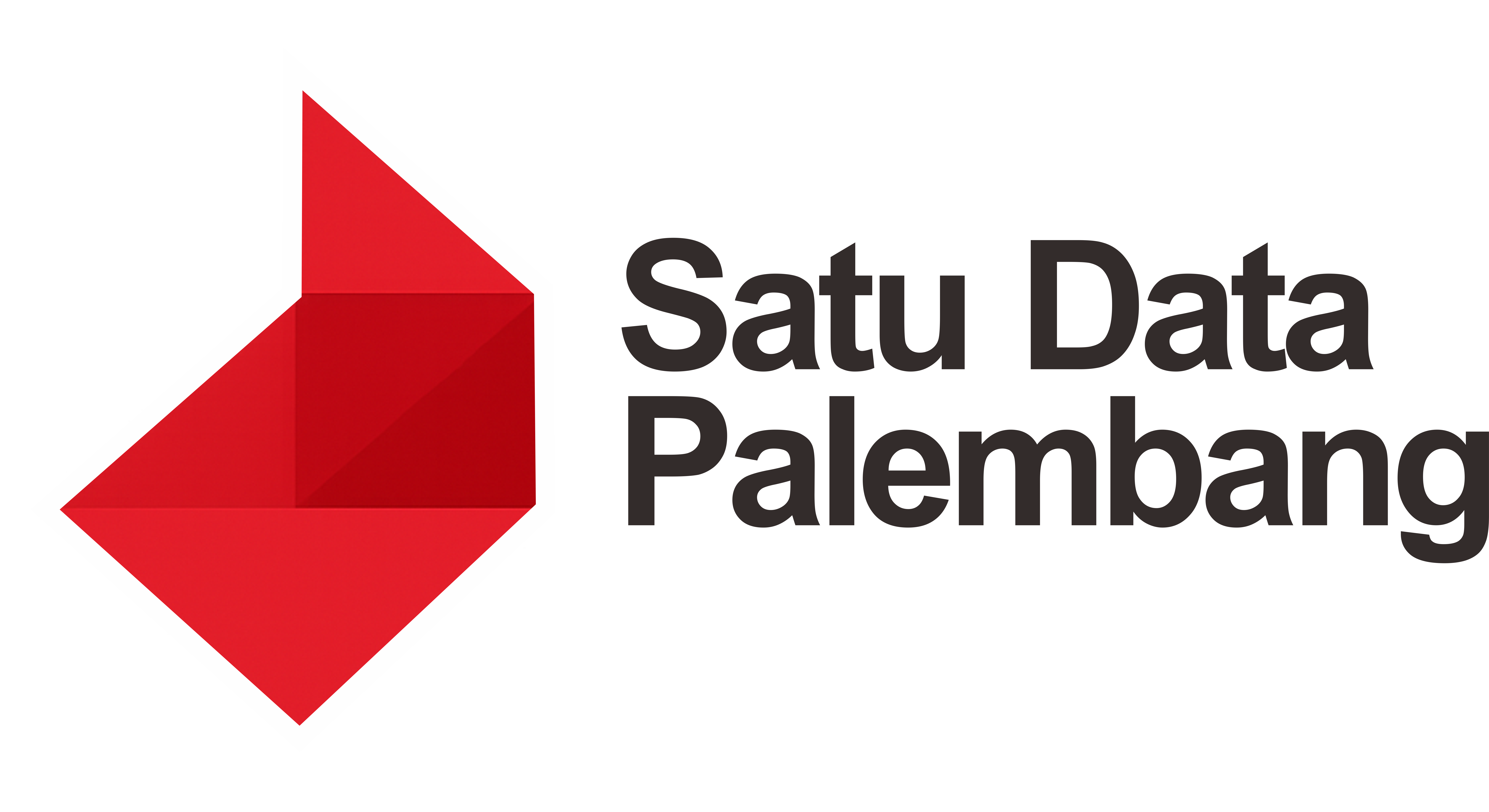 Satu Data Palembang